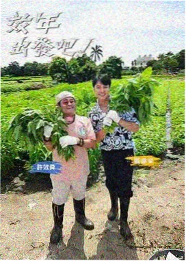 综艺《心动样本》剧照